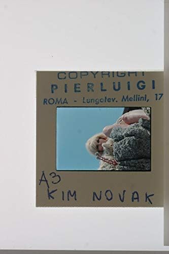 תצלום שקופיות של קים נובאק יושב על סלע כשכלבה שוכב לידה.