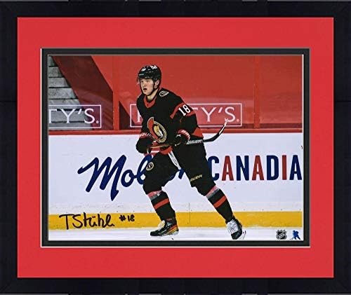מסגר את טים ​​שטוצ'ל אוטווה סנאטורים החתימו את תצלום הבכורה של 8 x 10 NHL - תמונות NHL עם חתימה