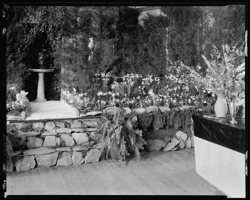 צילום Histhericalfindings: מופע פרחים מידבורג, אגרטלים, מידבורג, וירג'יניה, וירג'יניה, אדריכלות, דרום, 1931